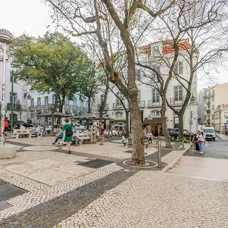 Condessa 29 E 33-3